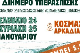 Απόπειρα εκφοβισμού και νέα κινητοποίηση